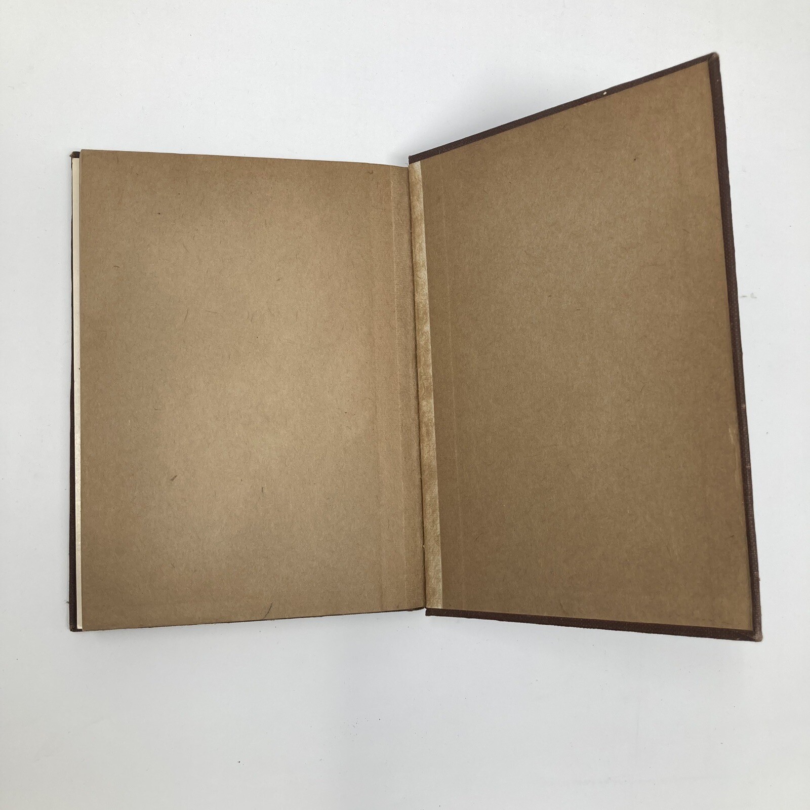 Shakespeare’s Julius Caesar – The Macmillan Company – 1923 – William Shakespeare