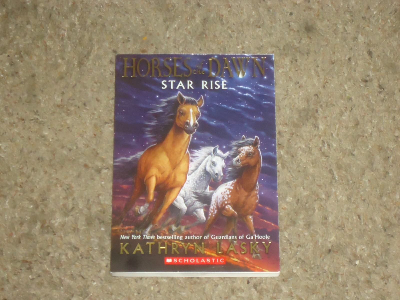Horses of the Dawn Star Rise Kathryn Lasky Build Your Own Teacher Class Set Guid