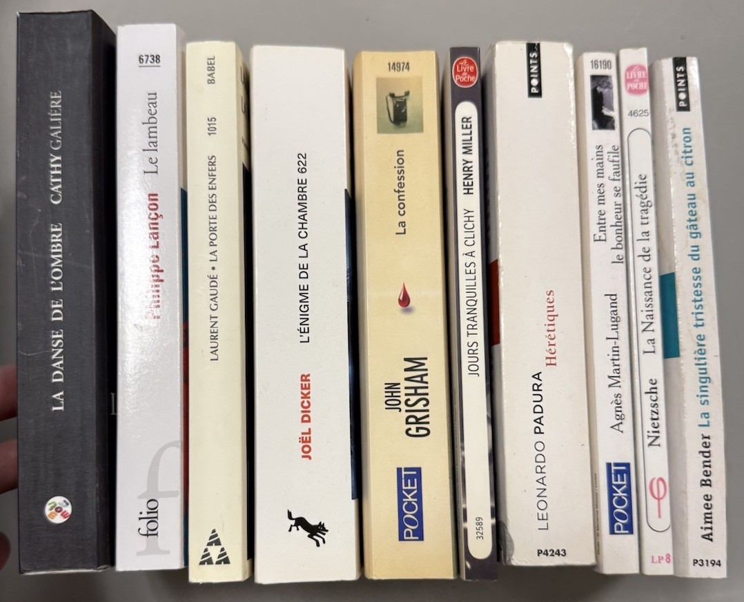 Lot of 10 books in the FRENCH Language Paperbacks. Mixed Genre