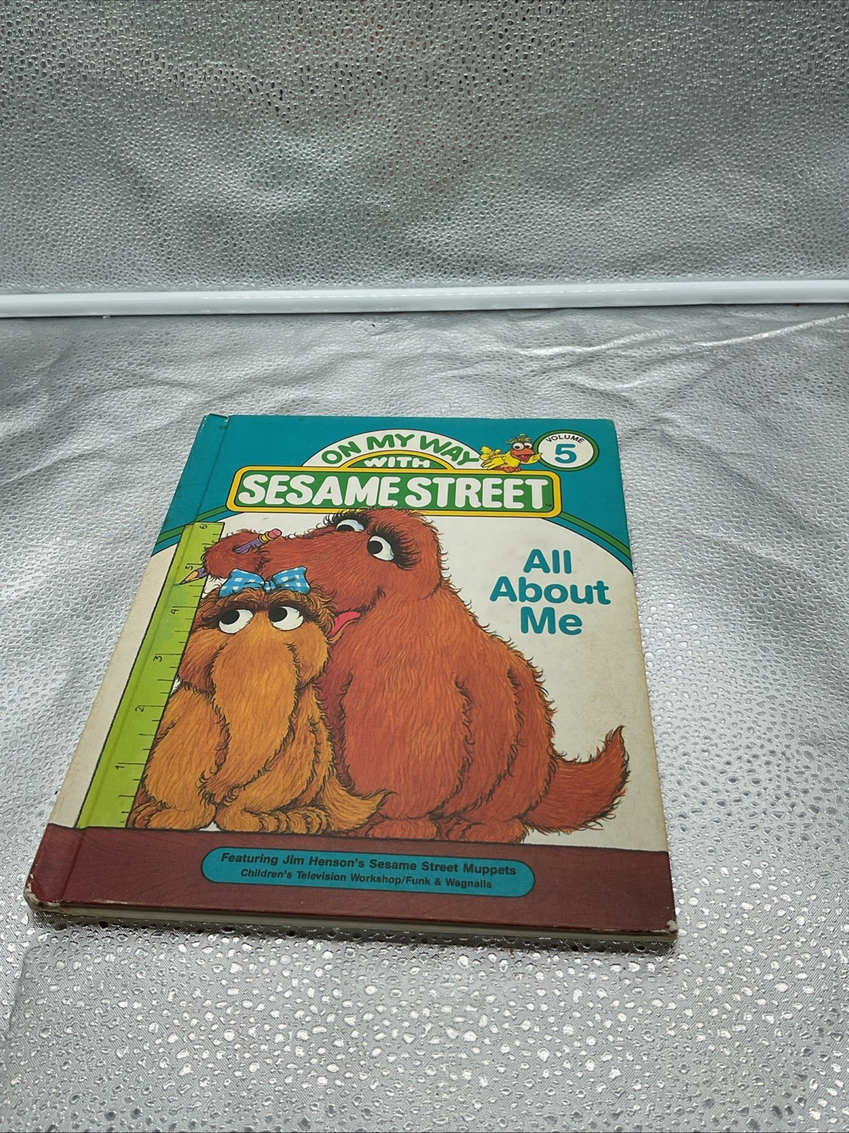 On My Way With Sesame Street: All About Me – Volume 5 – 1st Page Torn