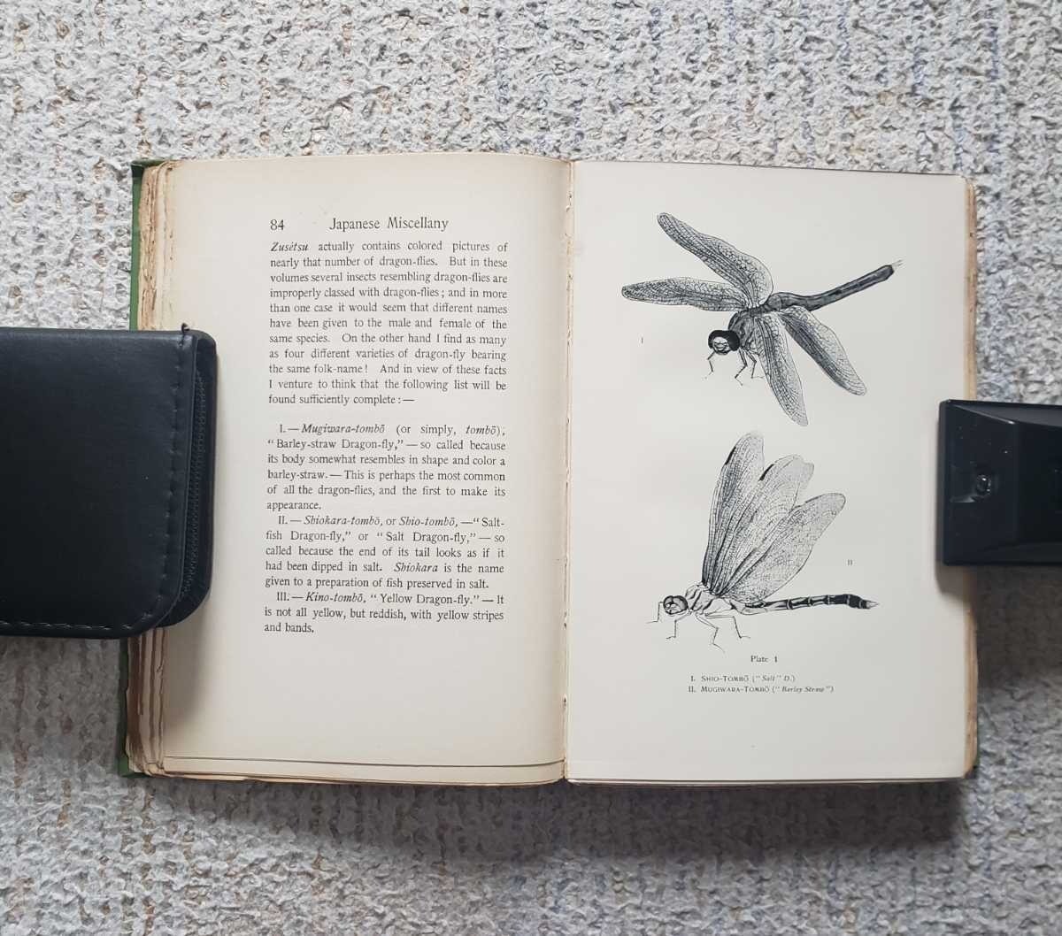 1901 First edition by Koizumi Yakumo Lafcadio Hearn 5.1in x 7.5in 305 pages