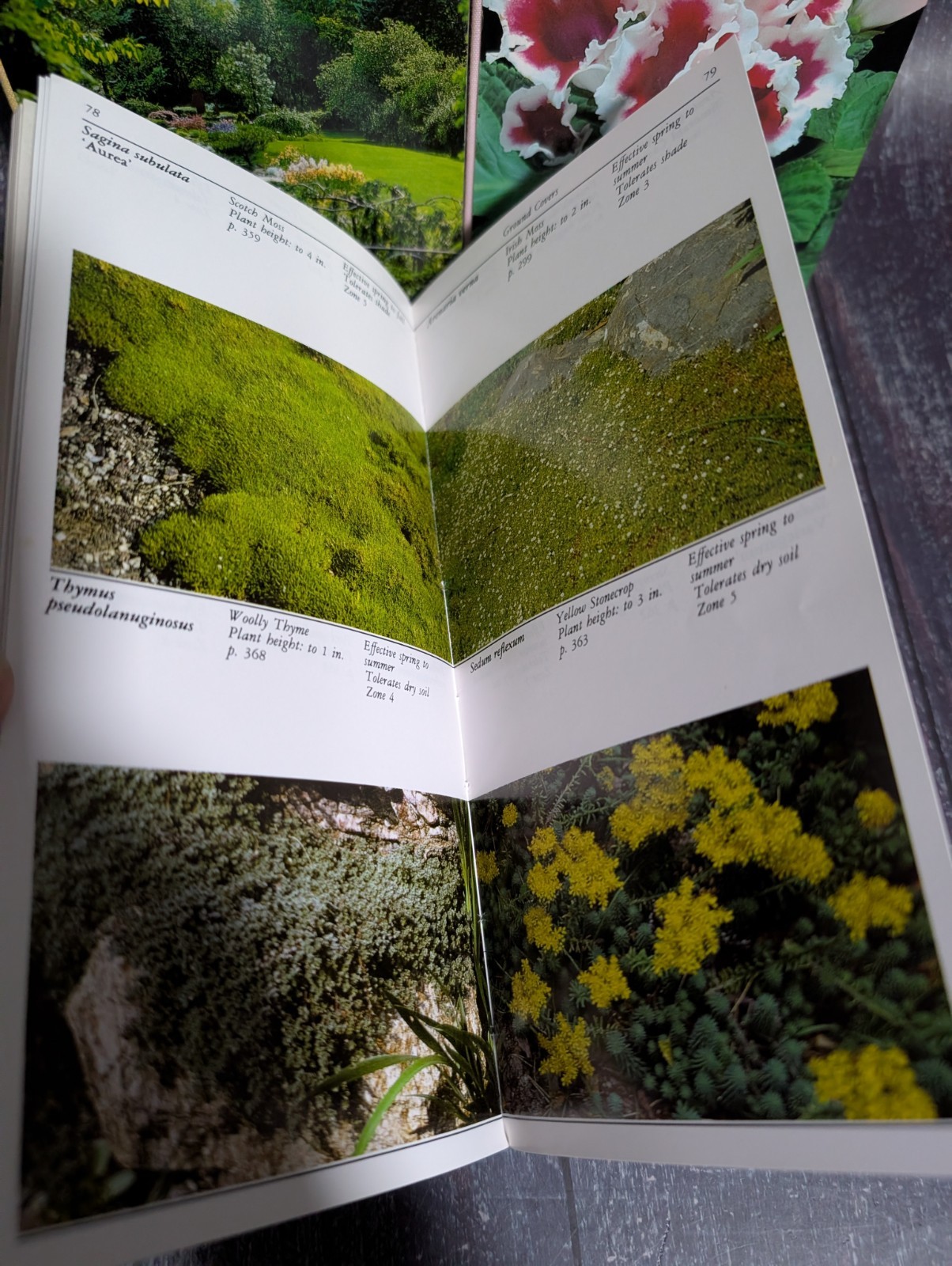 Taylor’s Guide To Book Lot: Garden Design, Ground Covers, Houseplants