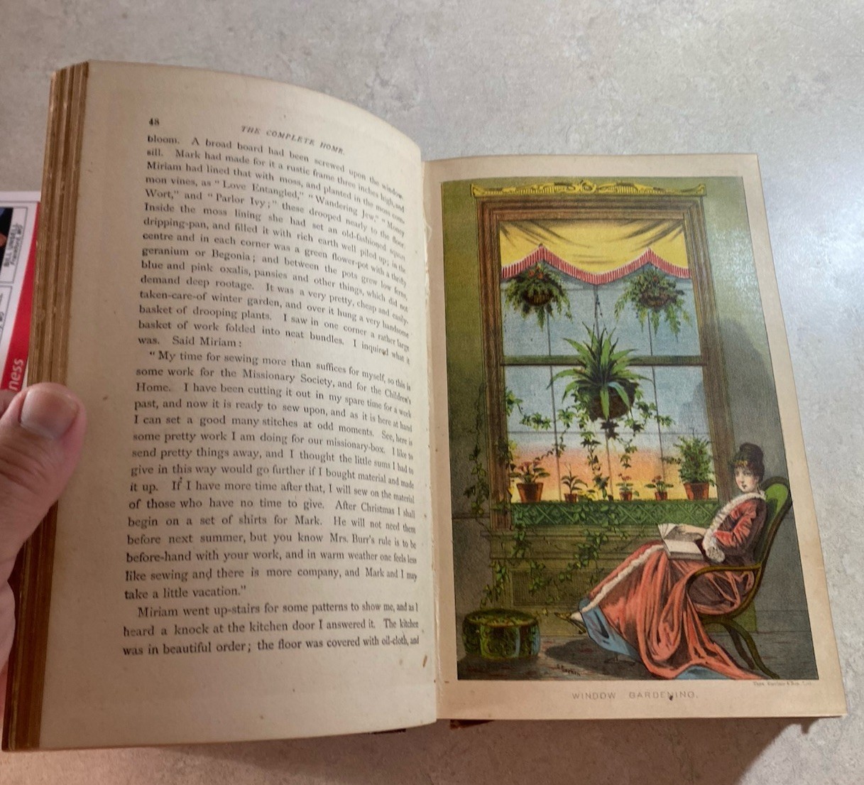 THE COMPLETE HOME JULIA MCNAIR WRIGHT 1882 ENCYCLOPAEDIA OF DOMESTIC LIFE GILT