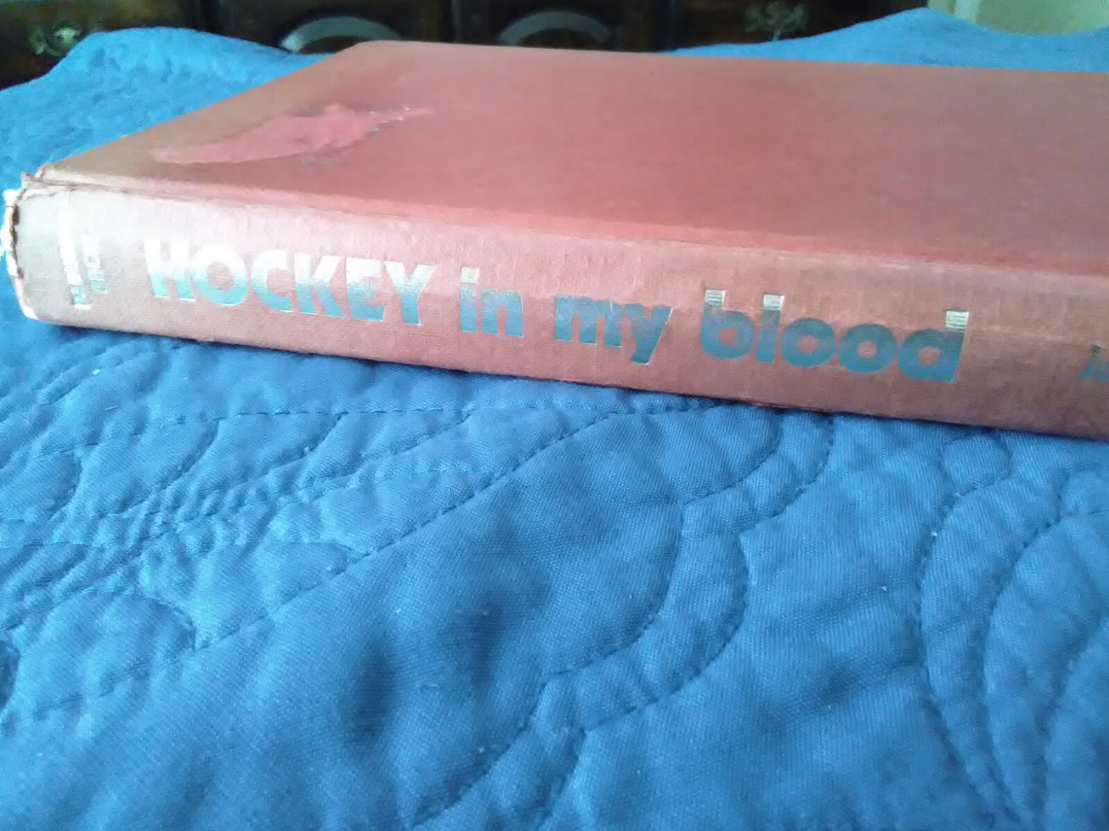 Hockey in My Blood by Johnny Bucyk (Hardcover)