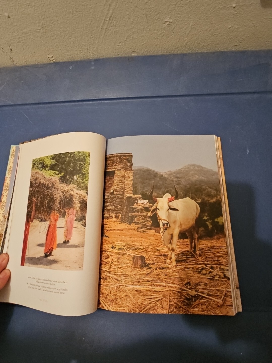 Patterns of India : A Journey Through Colors, Textiles, and the Vibrancy of…