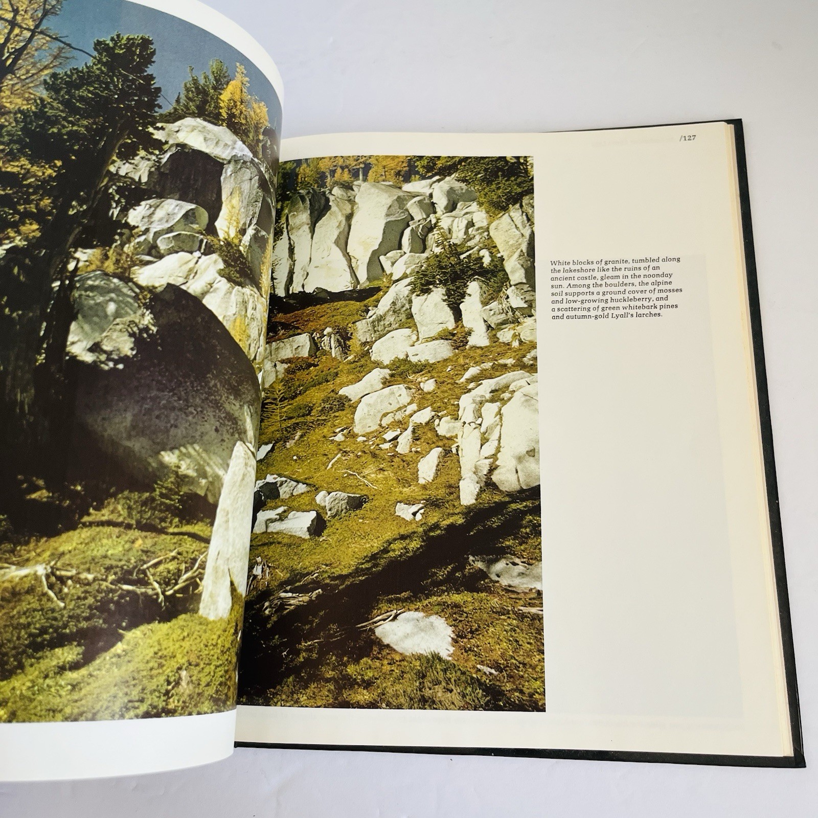 Vintage „The American Wilderness“ Time Life Books Collection 1973 Lot of 7