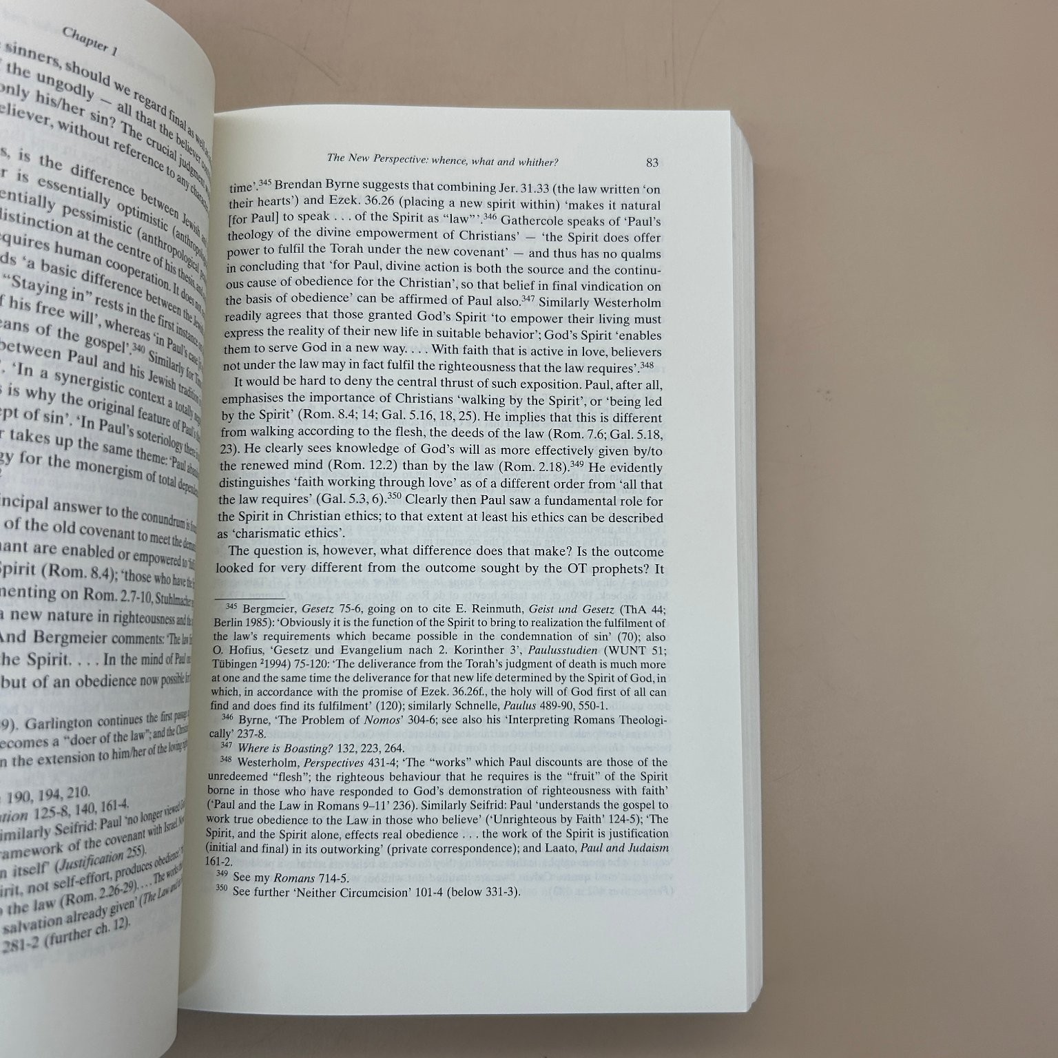 The New Perspective on Paul James D. G. Dunn 2008 Revised Edition Theology