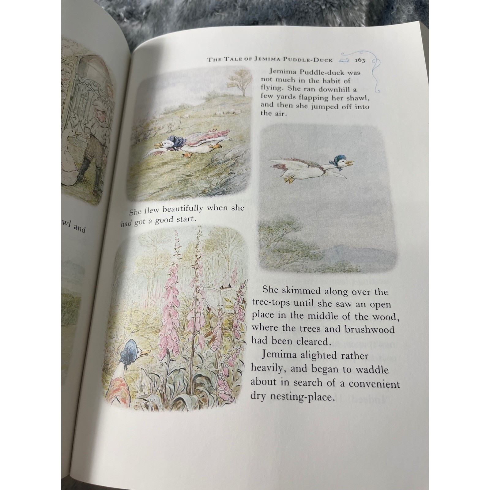 The Complete Tales of Beatrix Potter 23 Original Peter Rabbit Book F. Warne 1989