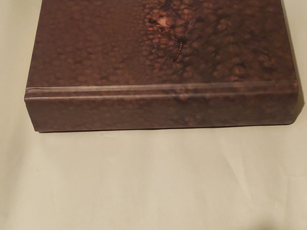 „The Amber Spyglass“ 1st First Edition Signed Philip Pullman HC Book 3