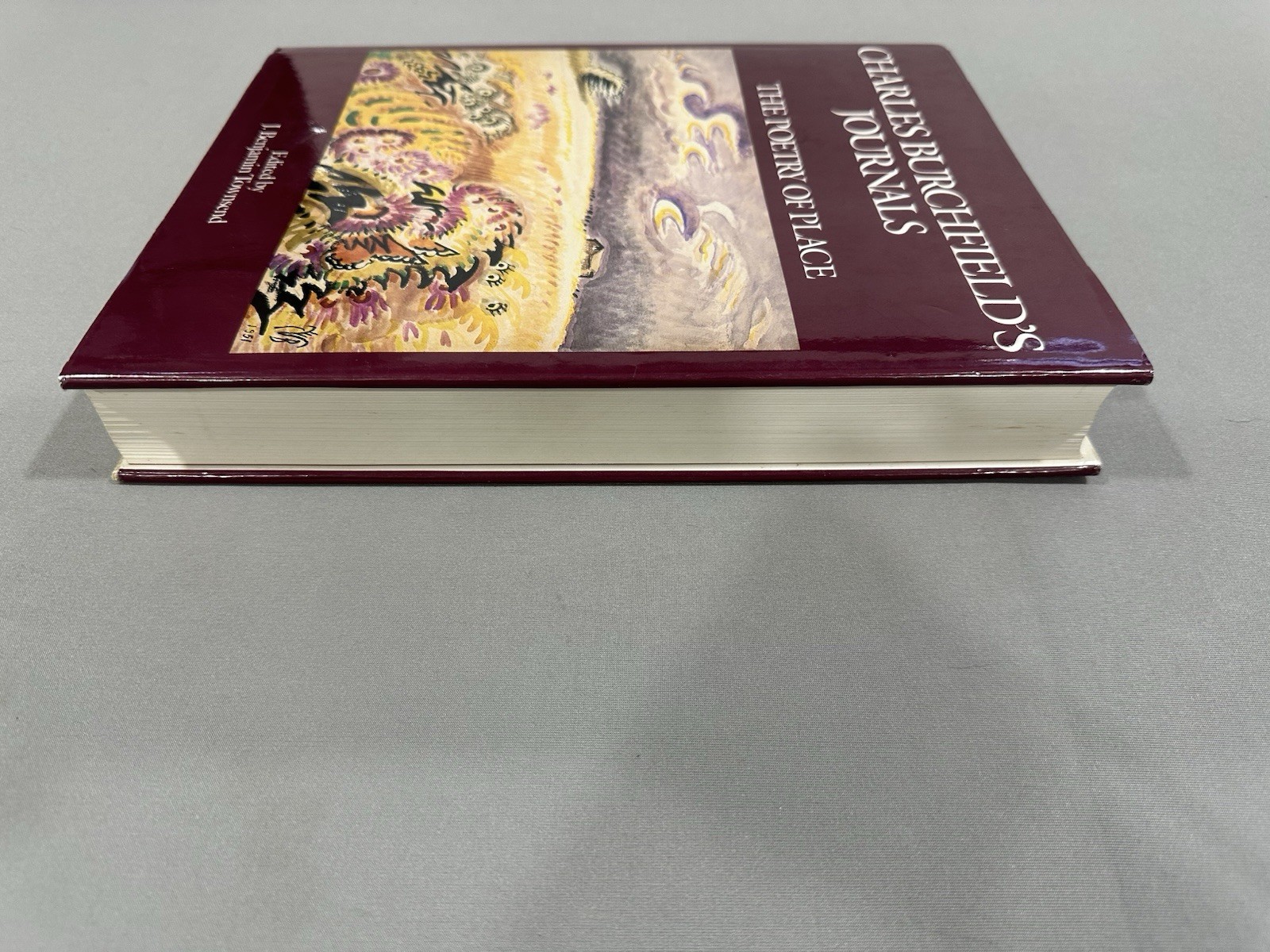 Charles Burchfield’s Journals The Poetry of Place by Charles Burchfield 1992