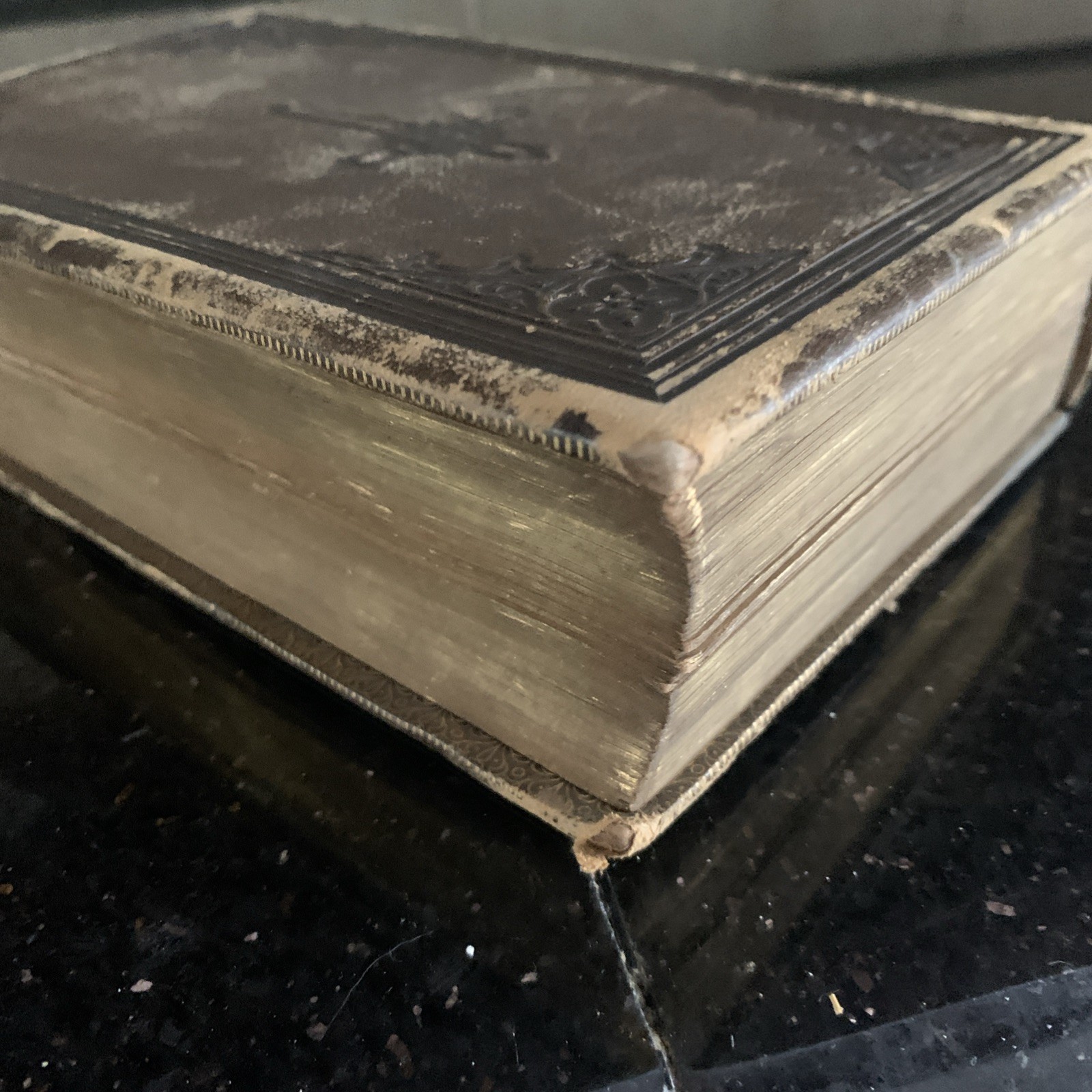 1860 Episcopal Book Of Common Prayer D. Appleton & Company