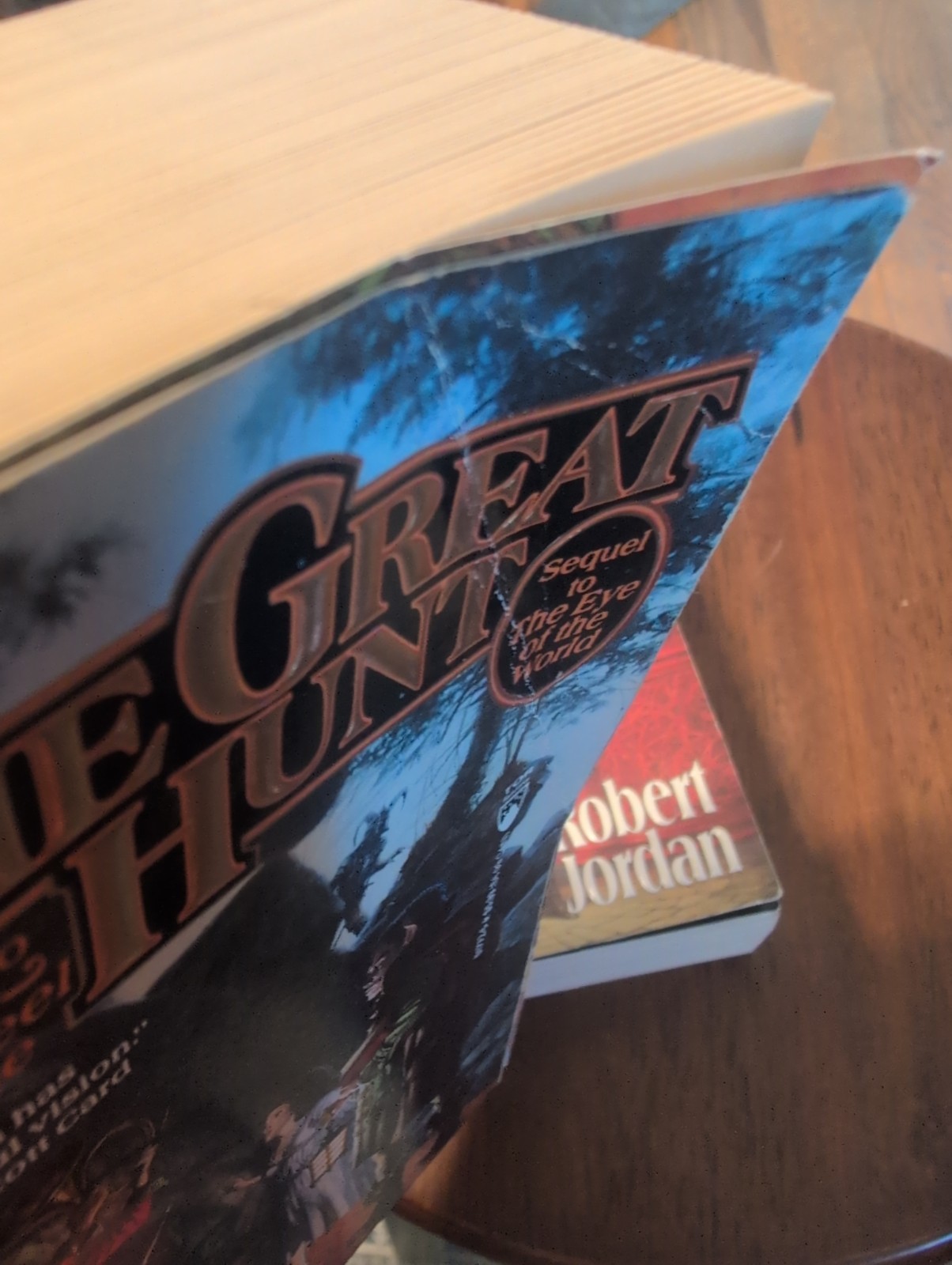 Book 2 and 3 The Wheel of Time Series by Robert Jordan Paperback Book Lot