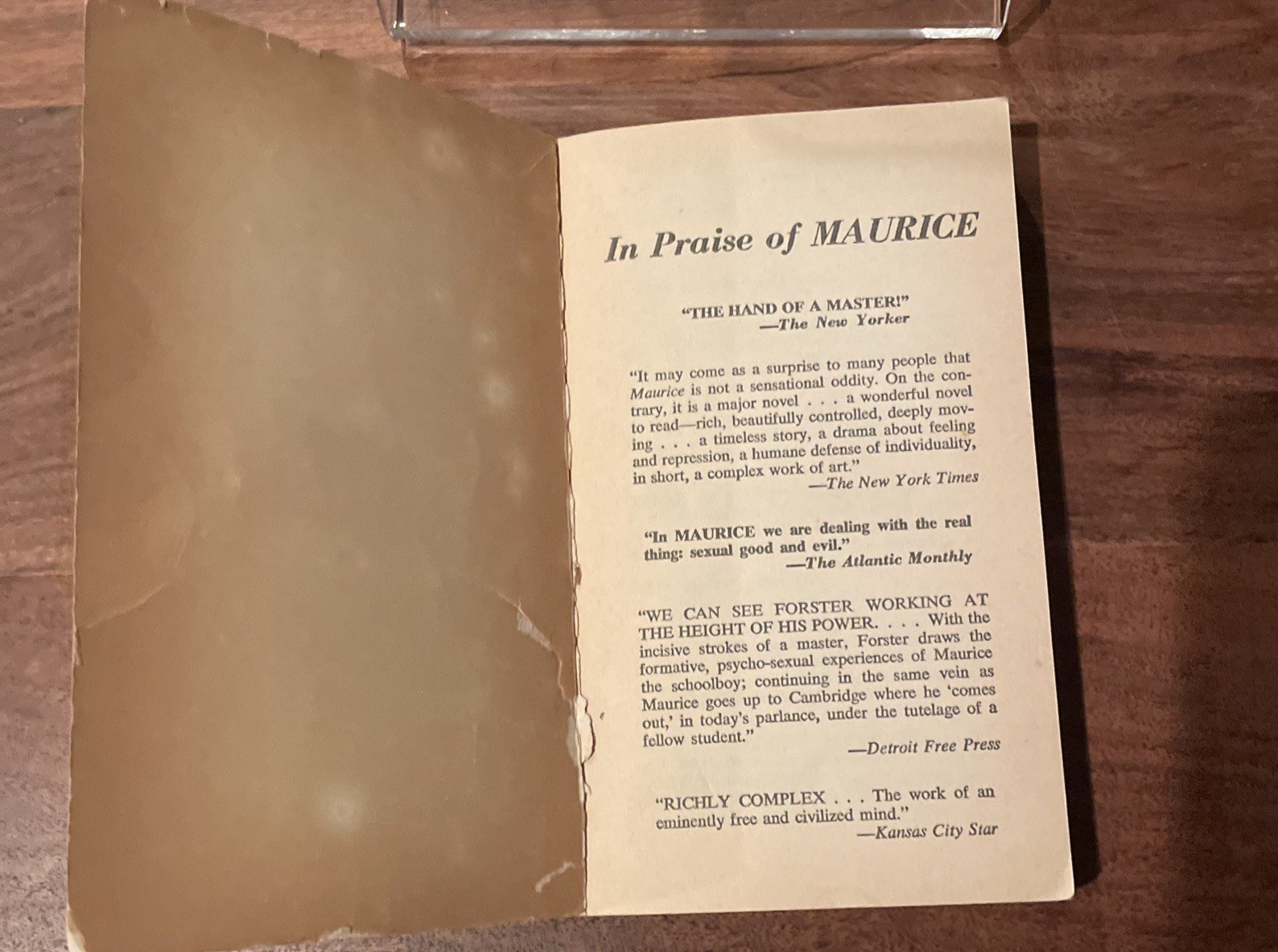 Maurice by E.M. Forster 1973 First Printing Signet Paperback LGBTQ+ Novel PB