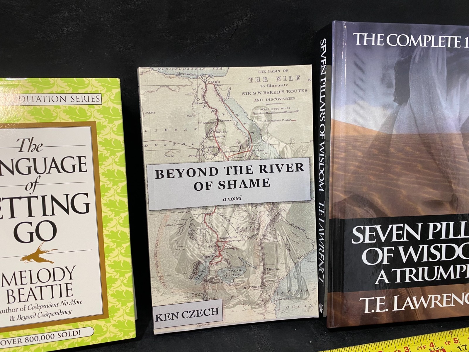 The Language of Letting Go Beyond the River of Shame Seven Pillars of Wisdom