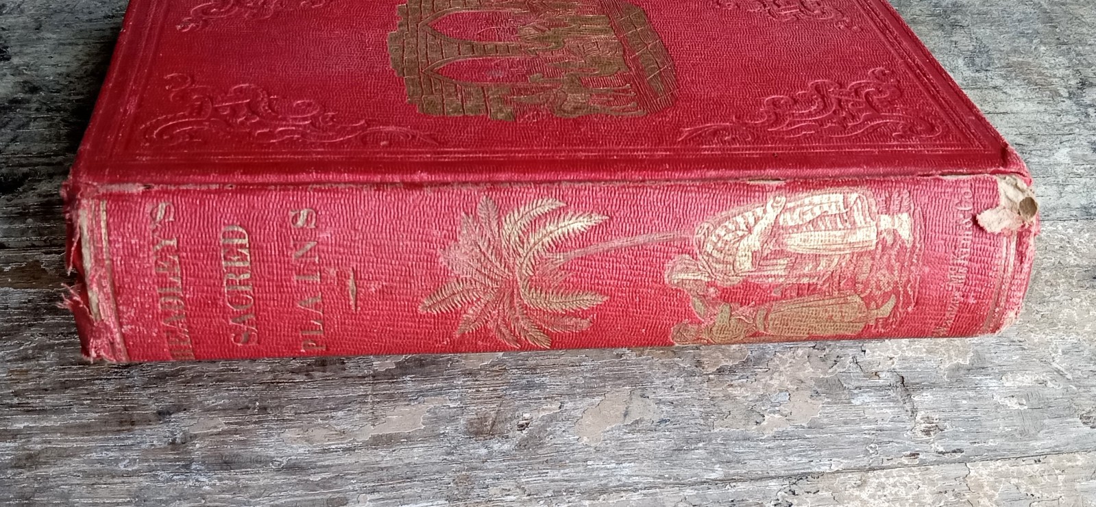 The Sacred Plains ~1856 Antique HC~ Headley Bible Geography Buffalo NY Illust