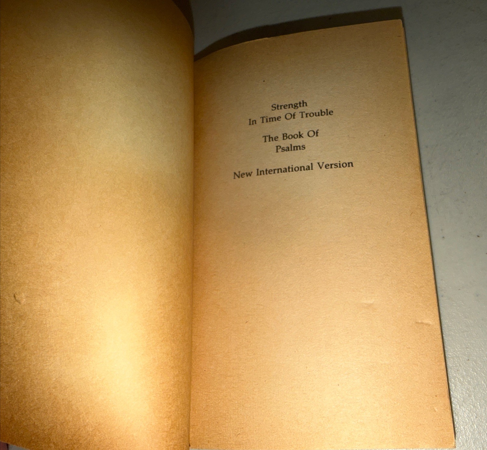 Strength in Time of Trouble: The Book of Psalms – 1978 Paperback
