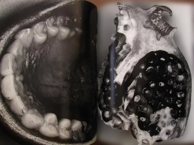 Nobuyoshi Araki „Erotos“ Photo Book First edition Hardcover Japanese
