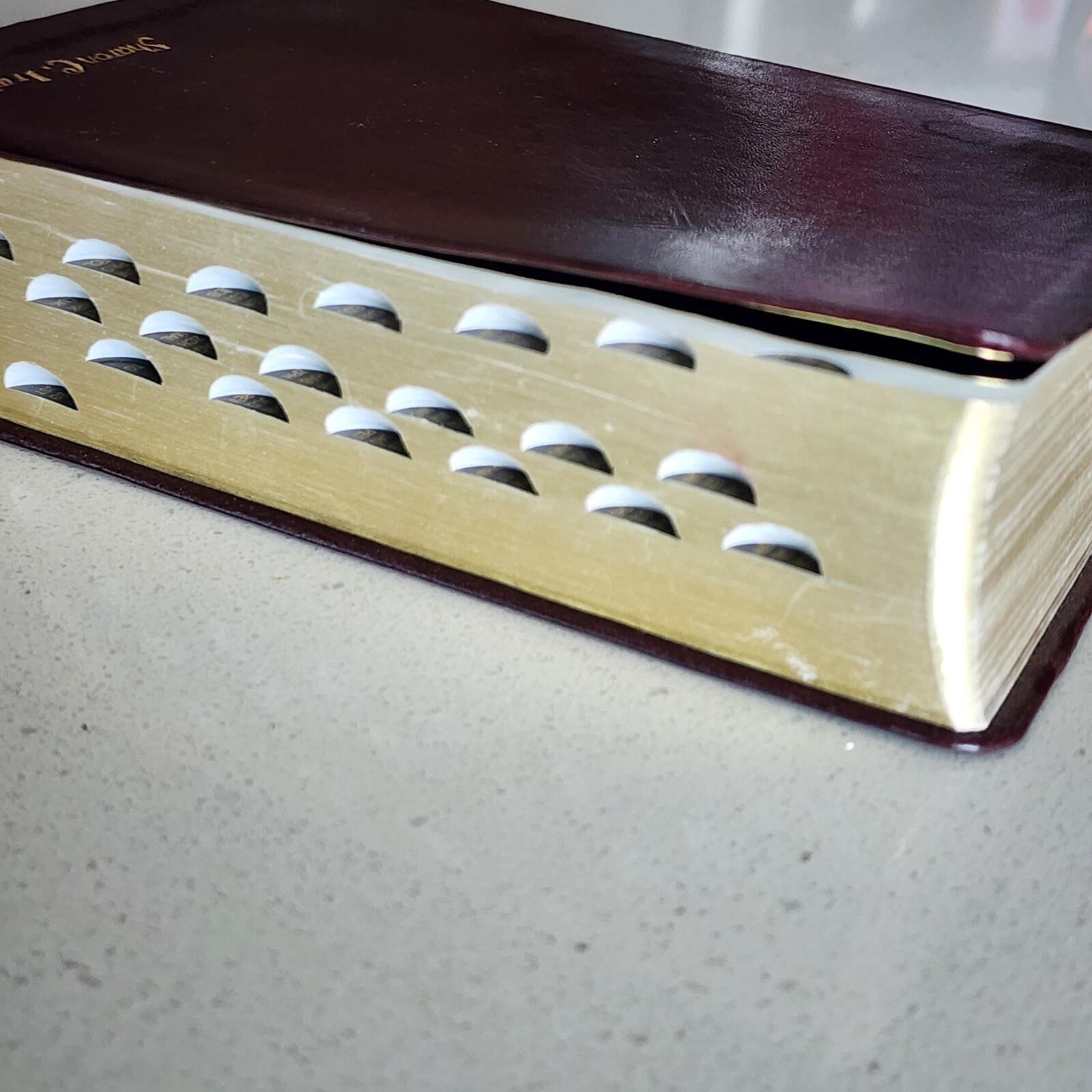 Holy Bible King James Version Burgundy Leather Book with Thumb Indexes LDS