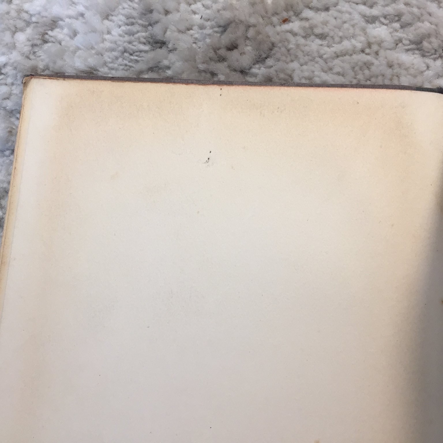 The Romany Stain Christopher Morley SIGNED 1927 Illustrated Travel Writing Book