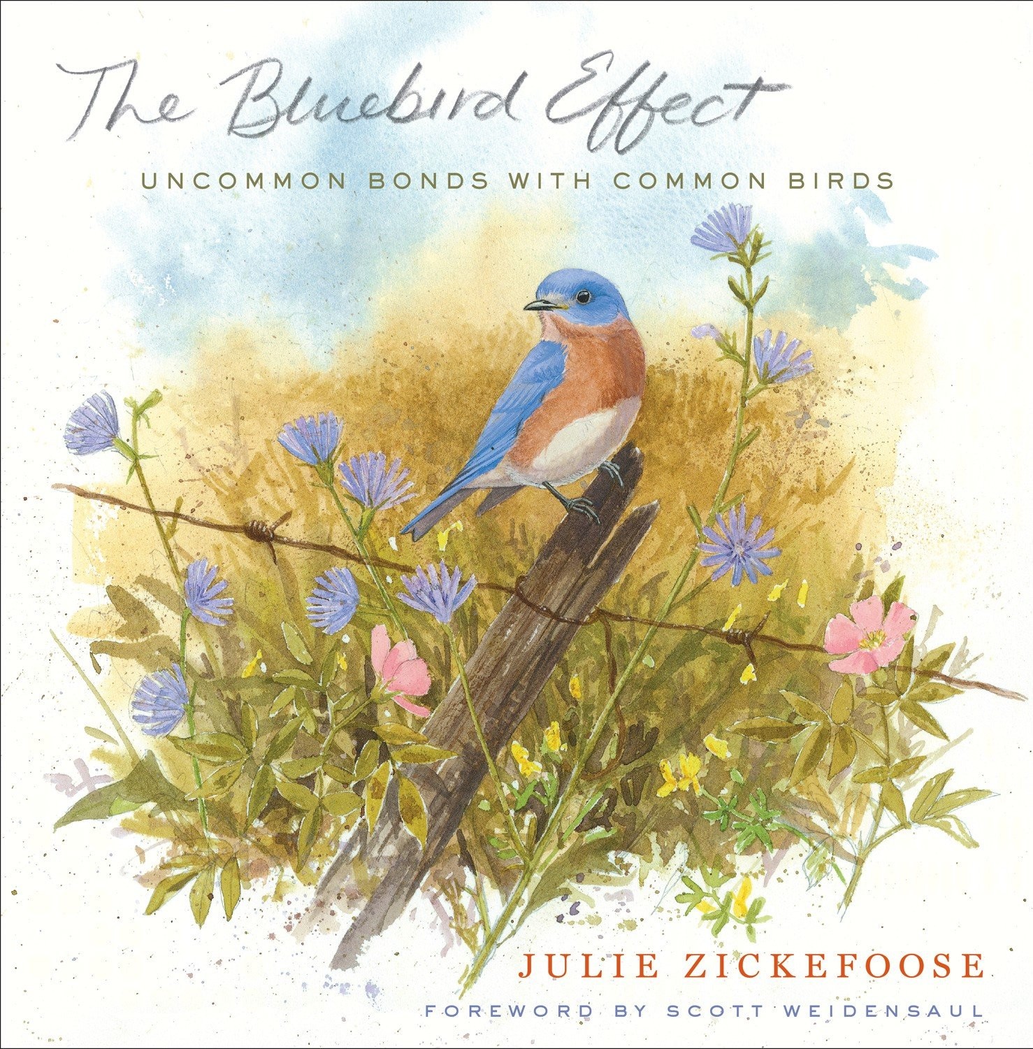 The Bluebird Effect: Uncommon Bonds with Common Birds