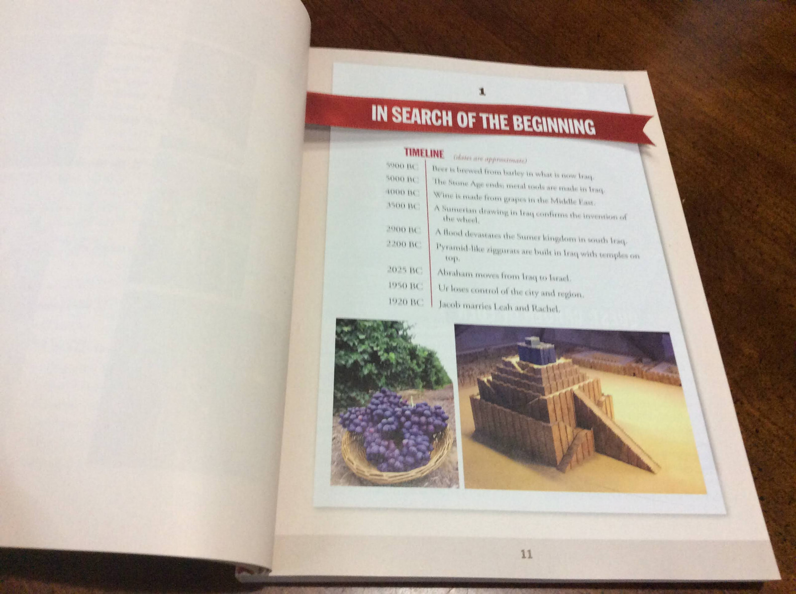 A QUICK GUIDED TOUR THROUGH THE BIBLE: EXPERIENCE THE By Stephen M. Miller PB VG