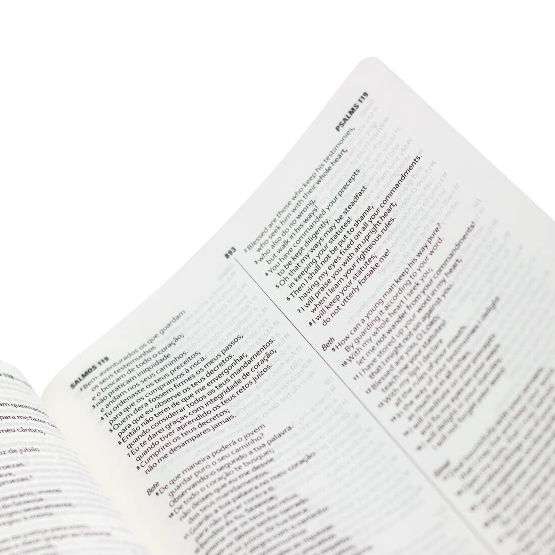 Bíblia Bilíngue Inglês/Português – English/Portuguese Bilingual Bible ESV/NAA