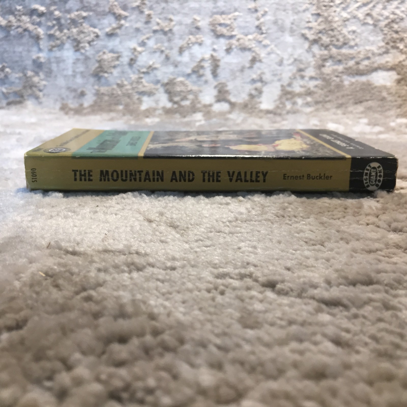 The Mountain And The Valley Ernest Buckler 1954 Signet Giant Coming Of Age Book