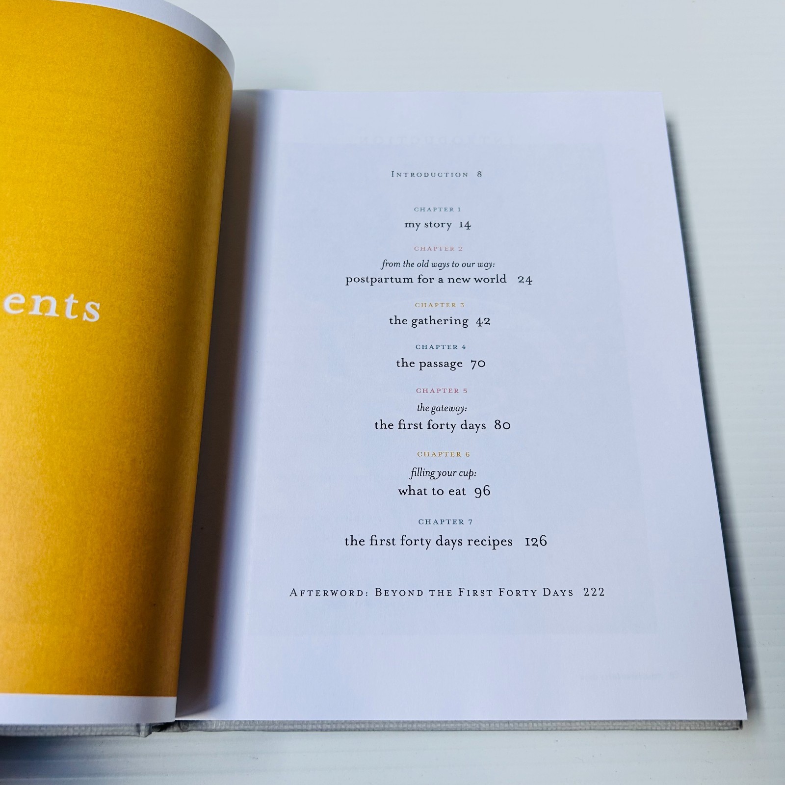 The First Forty Days: The Essential Art of Nourishing the New Mother by Heng Ou