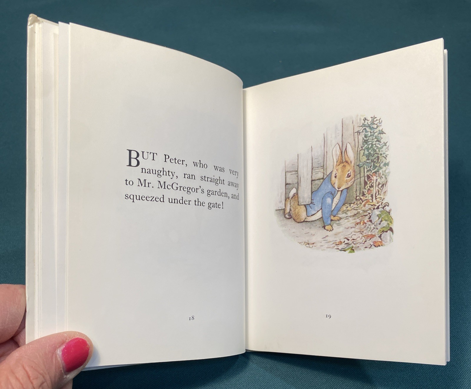 BEATRIX POTTER HARDBACKS ~ F. Warne & Co. ~ Small Matching Set 1-4 PETER RABBIT