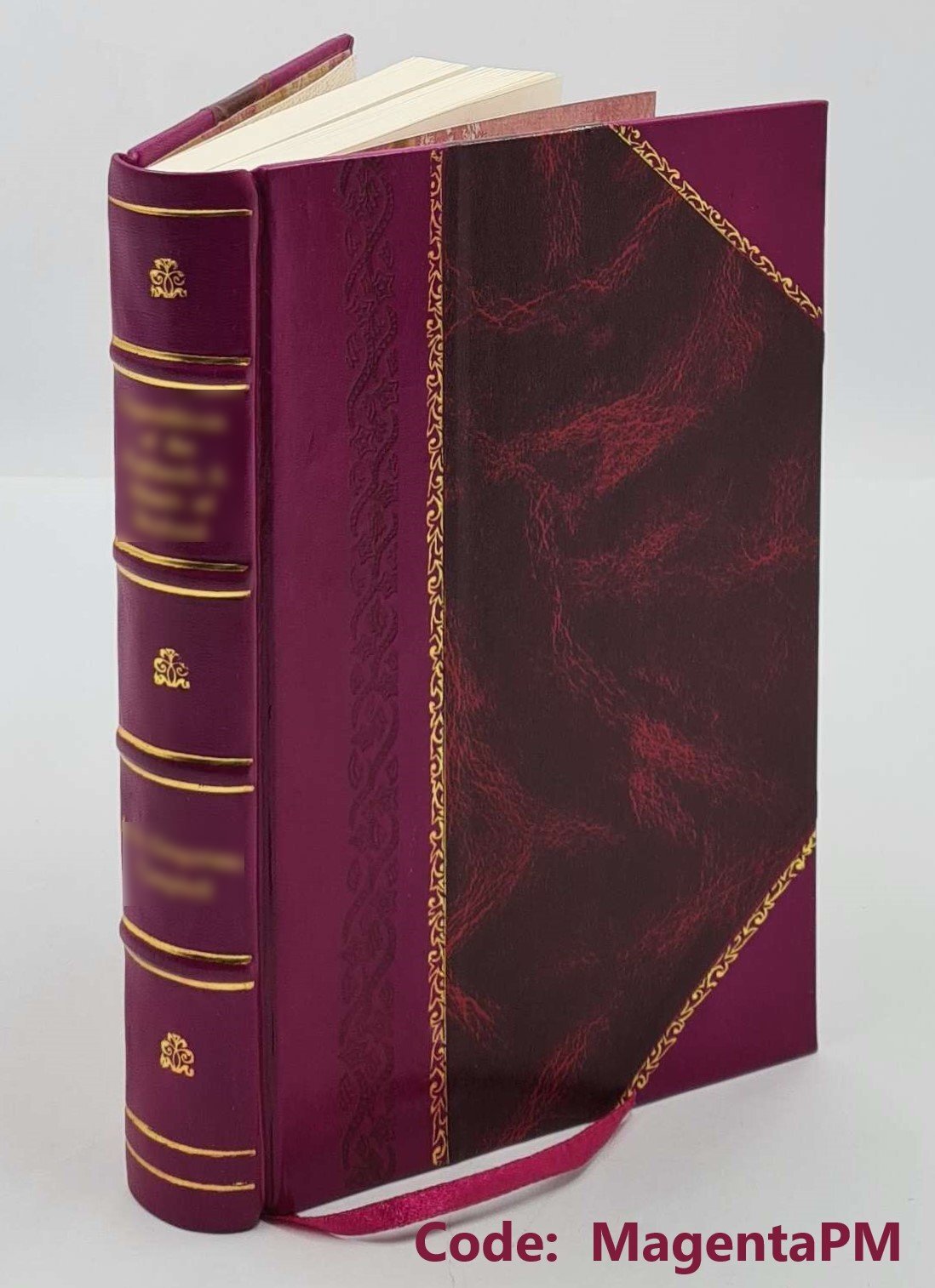 The Prophet of Nazareth or A critical inquiry into the prophetic [Leather Bound]