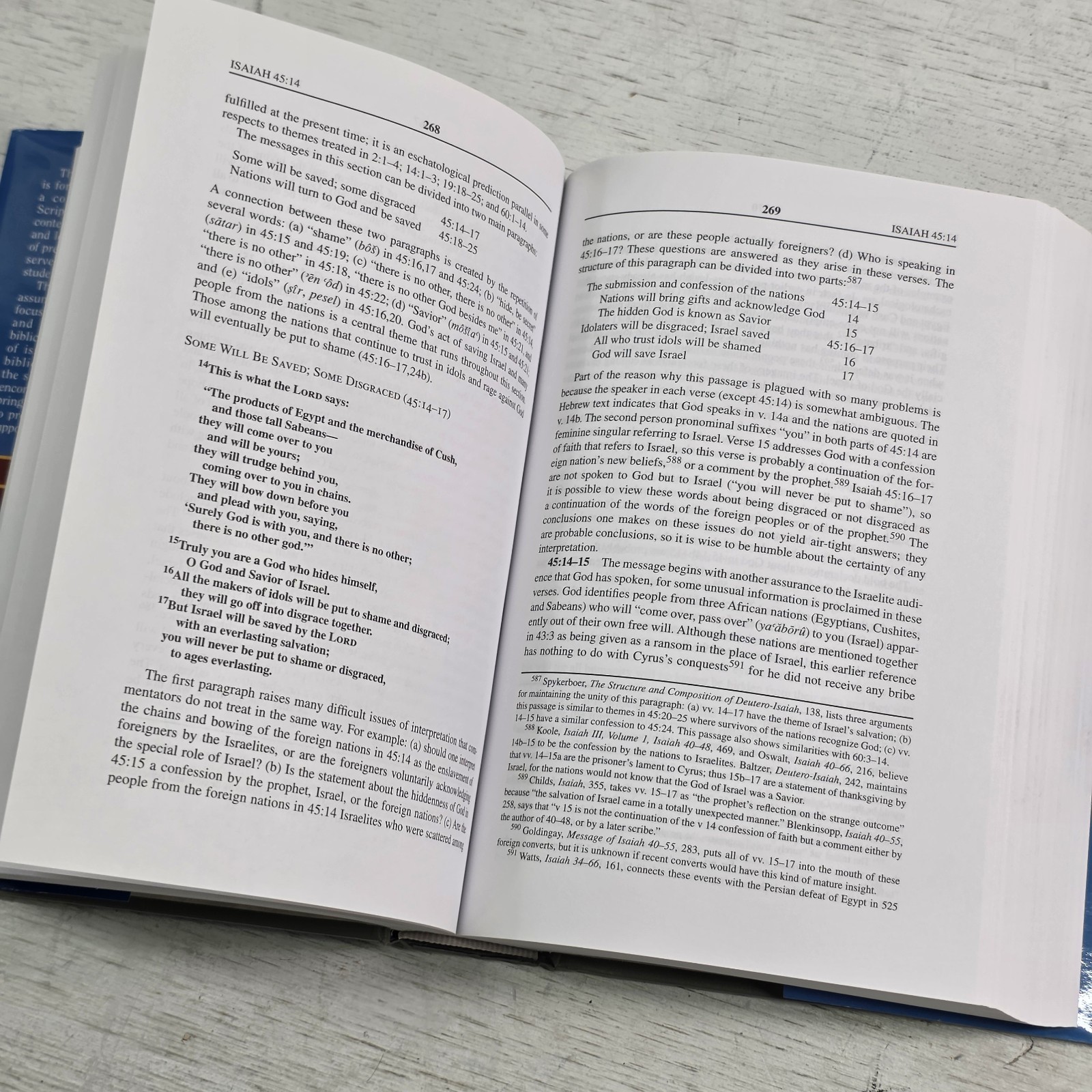 Isaiah 40-66: An Exegetical and Theological Exposition New American Commentary