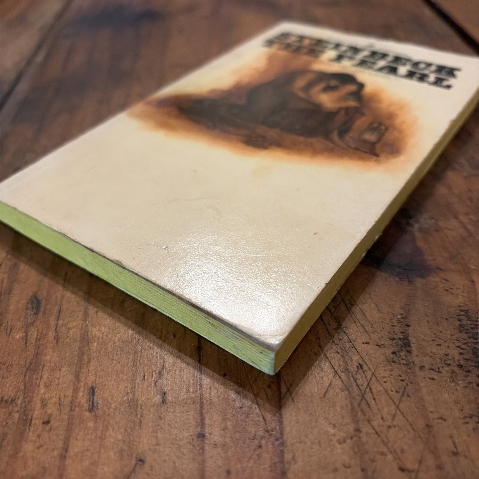 The Pearl John Steinbeck 1974 Bantam Edition Classic Fiction