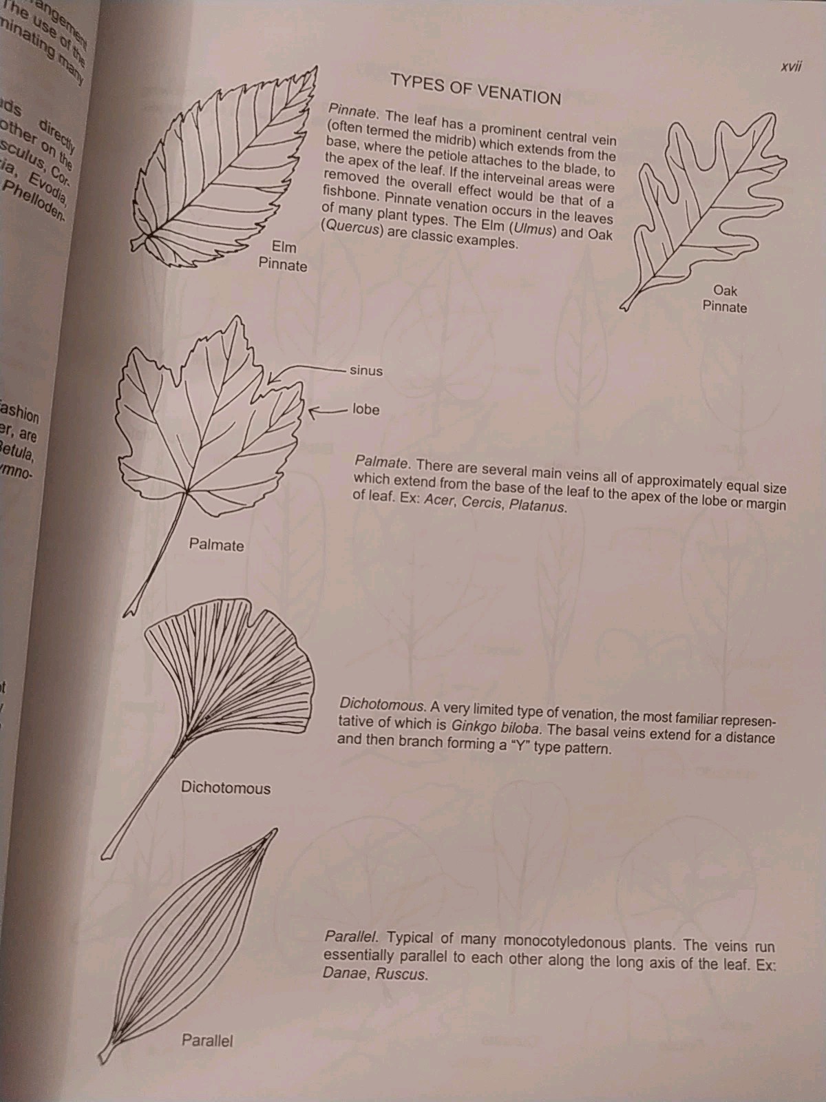 Manual of Woody Landscape Plants: Identification Ornamental Characteristics 5TH