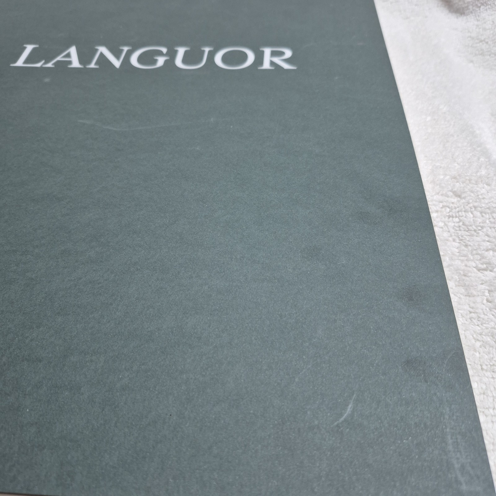 Donavon Smallwood · Languor (Trespasser · 2021 · 1st Edition) Black Portraiture