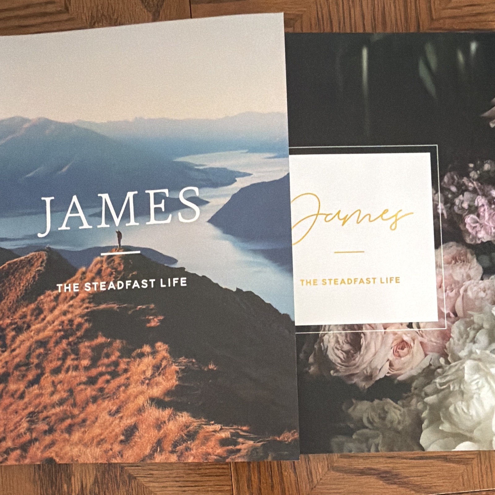 The Daily Grace Co. James: The Steadfast Life Schmucker PB 2017 Study Guide