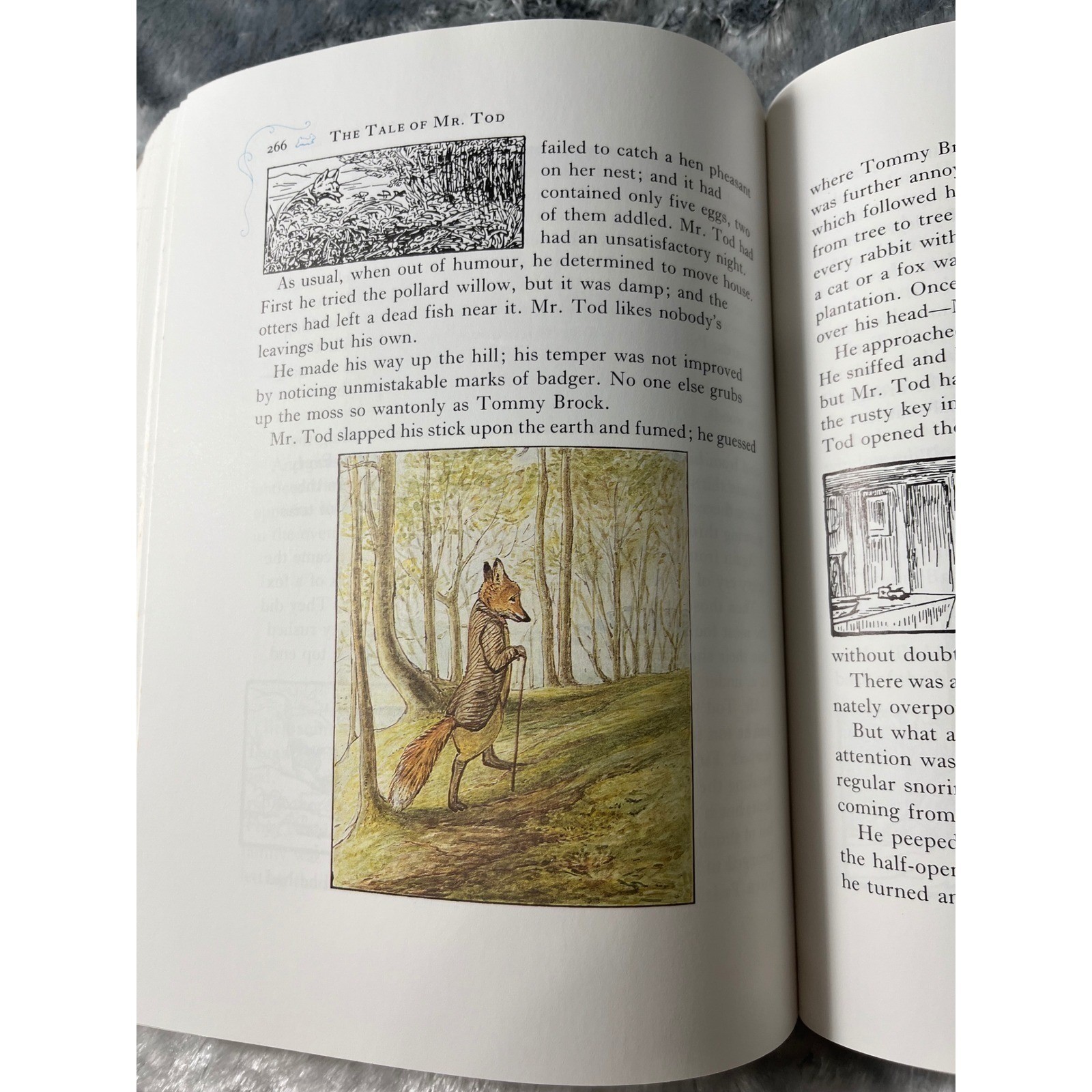 The Complete Tales of Beatrix Potter 23 Original Peter Rabbit Book F. Warne 1989