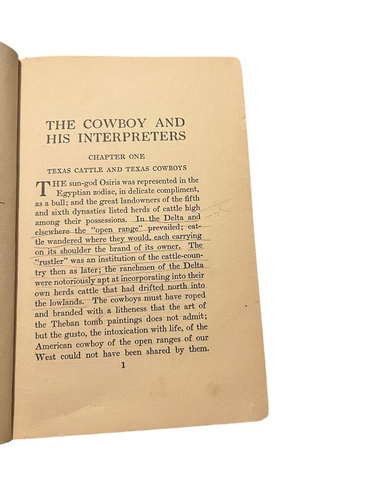 First Edition 1926 „THE COWBOY AND HIS INTERPRETERS“ by Douglas Branch Hard Book