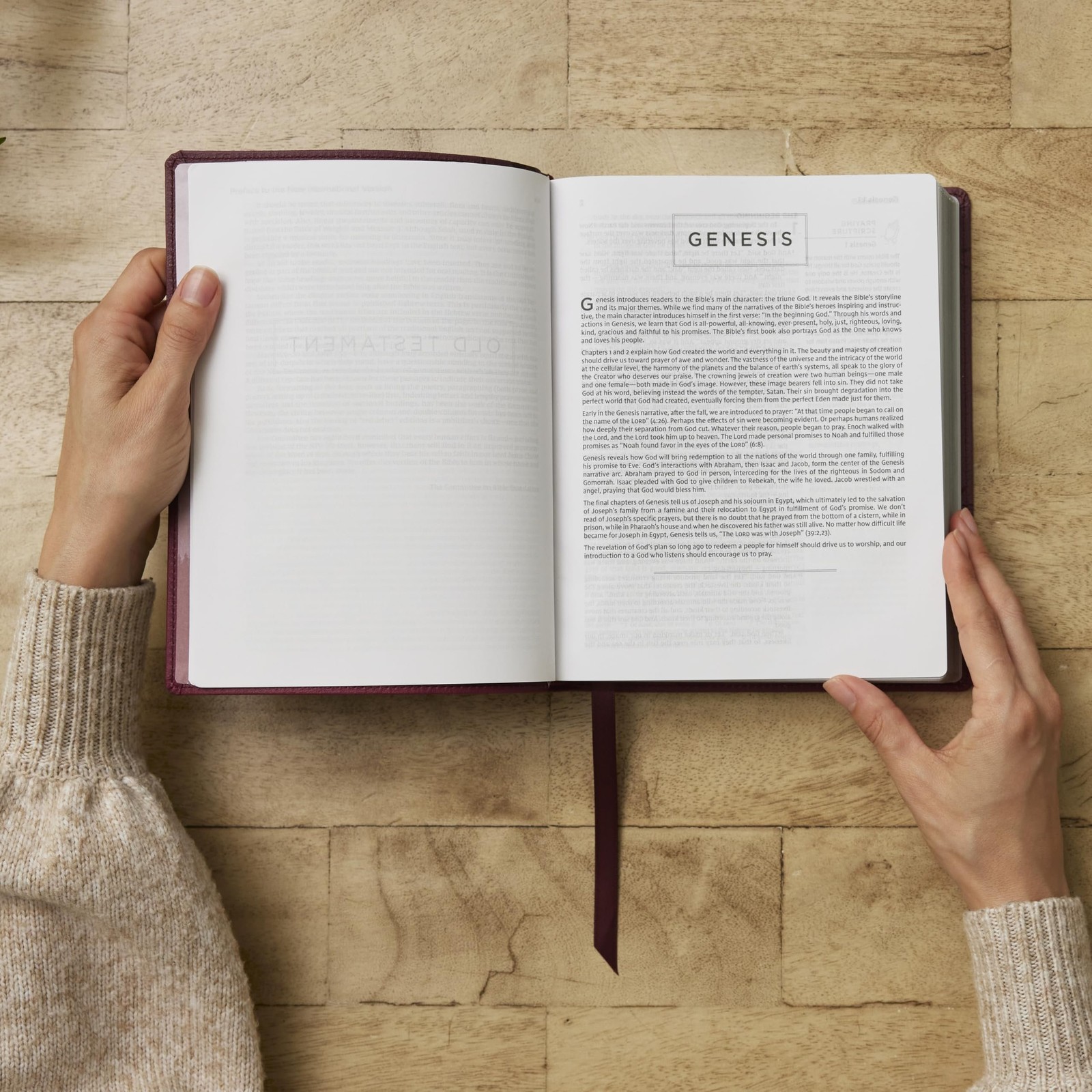 The Prayer Bible: Pray God’s Word Cover to Cover (NIV, Burgundy Leathersoft,…