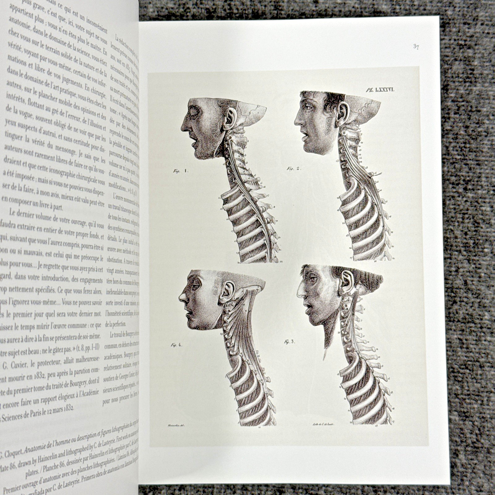 Atlas of Human Anatomy and Surgery The Complete Plates, Bourgery, Jacob, Taschen