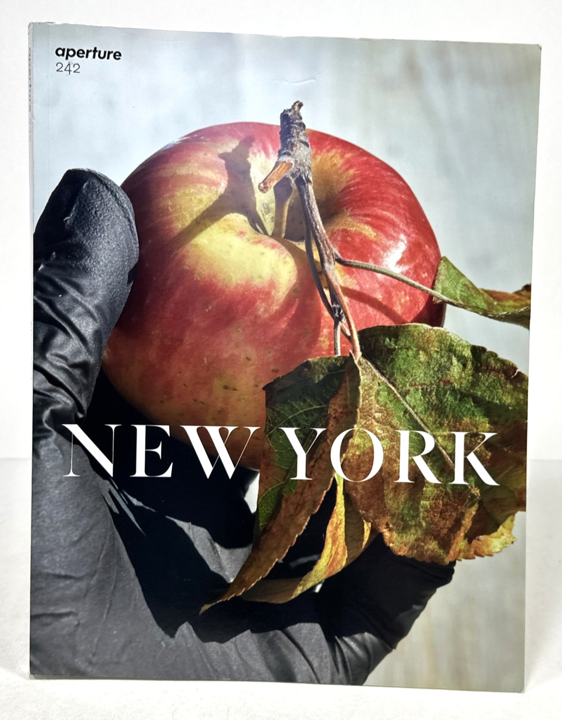Aperture Magazine 242 New York Spring 2021 Page, Rios, Leiter Art Photography