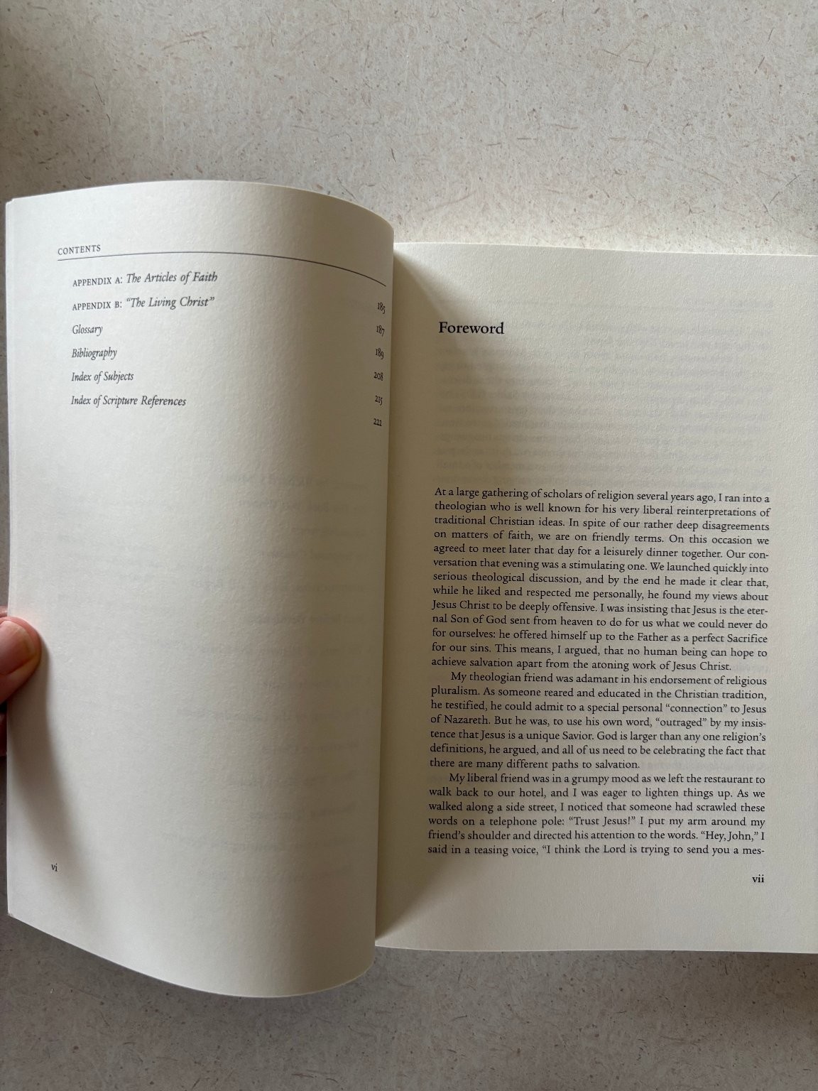 A Different Jesus? Robert L. Millet 2005 Paperback Comparative Theology Eerdmans