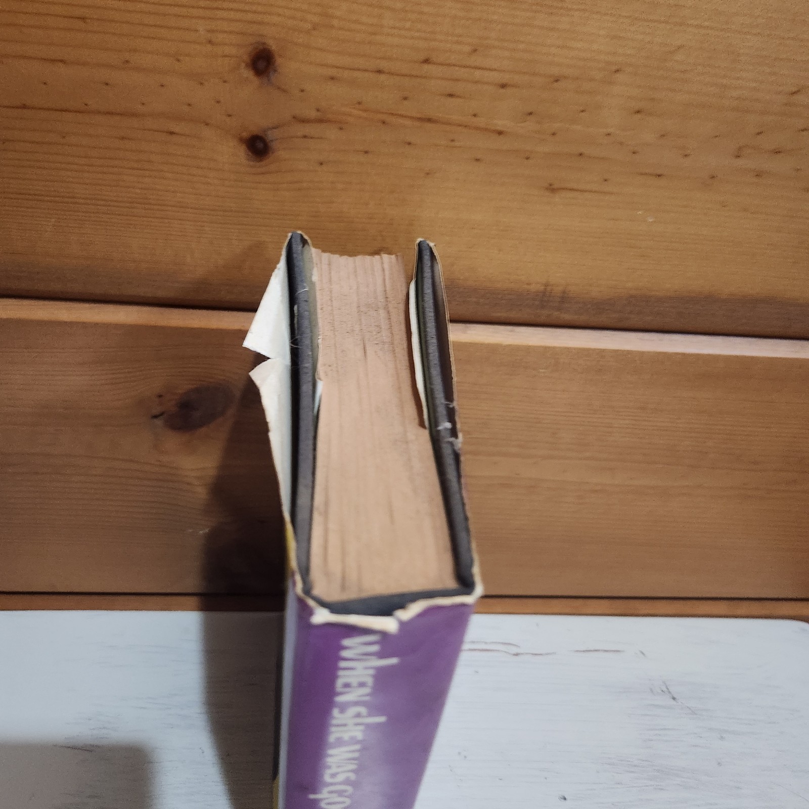 WHEN SHE WAS GOOD Philip Roth 1st Edition hardcover First Printing – 1967