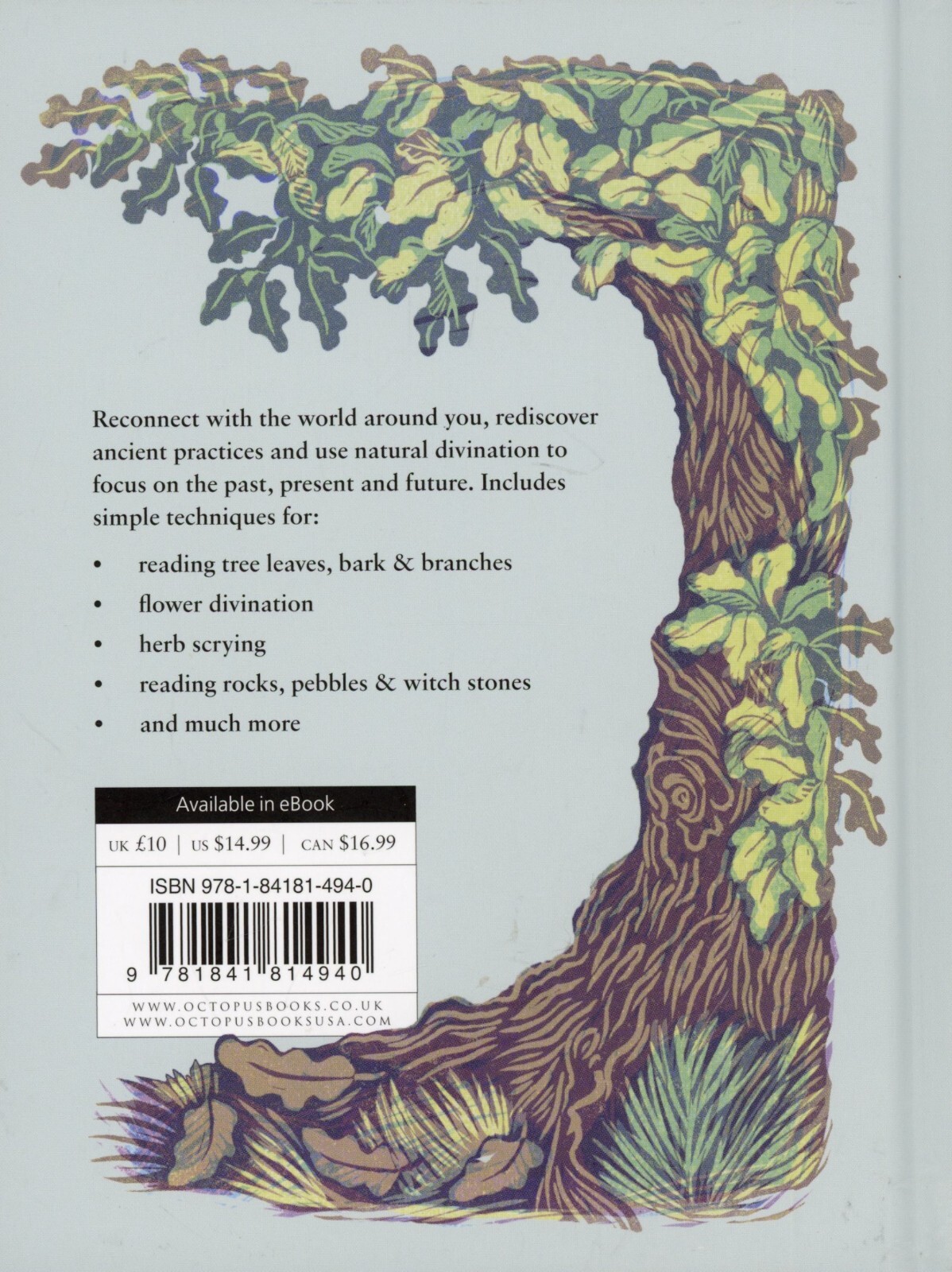 Nature’s Hidden Oracles : From Flowers to Feathers and Shells to Stones NEW