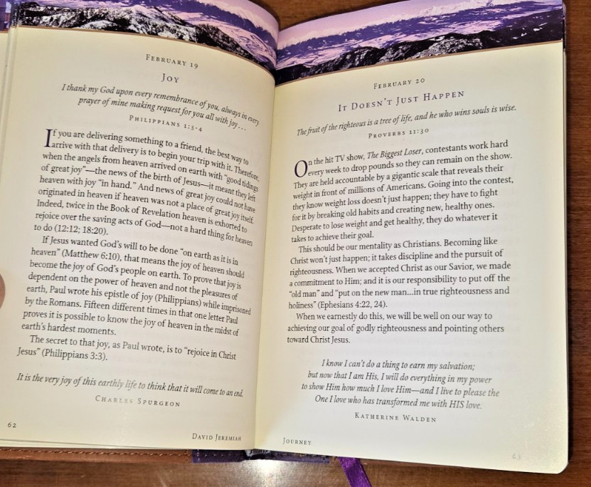 David Jeremiah JOURNEY ‚Your Daily Adventure With God‘ Faux Leather Bound 2011
