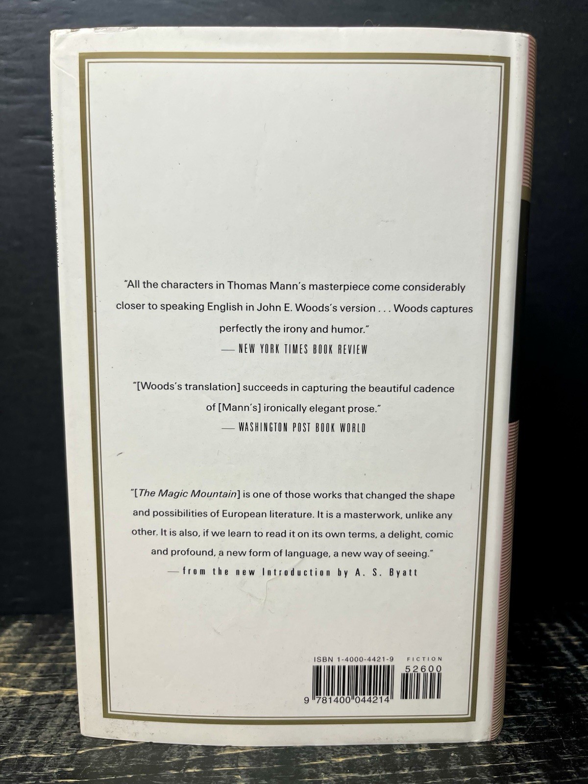 Magic Mountain Introduction by Thomas Mann Everymans Library 285 Like New Y1