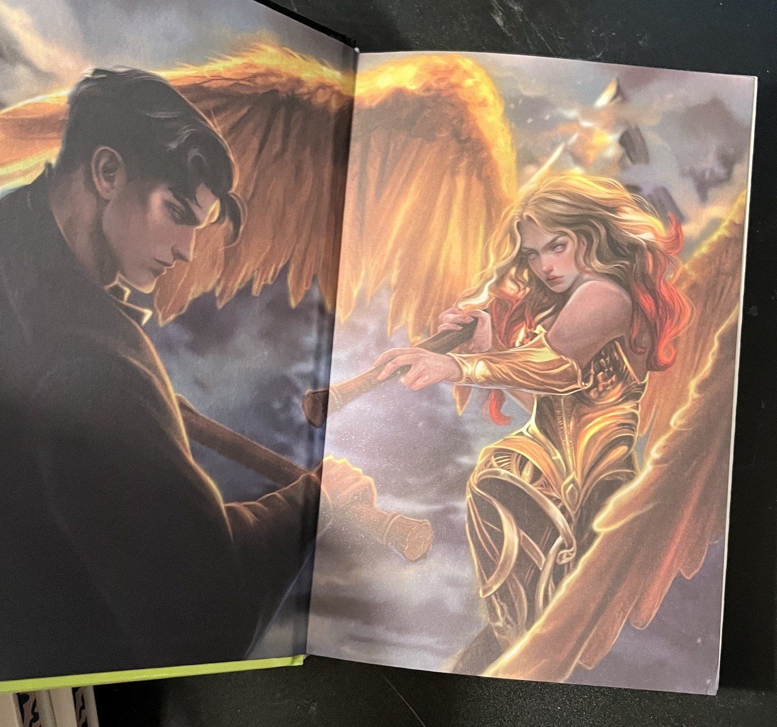 Books For Days Crate Book Box Fallen Legacies Series Signed Julie Hall 1-4