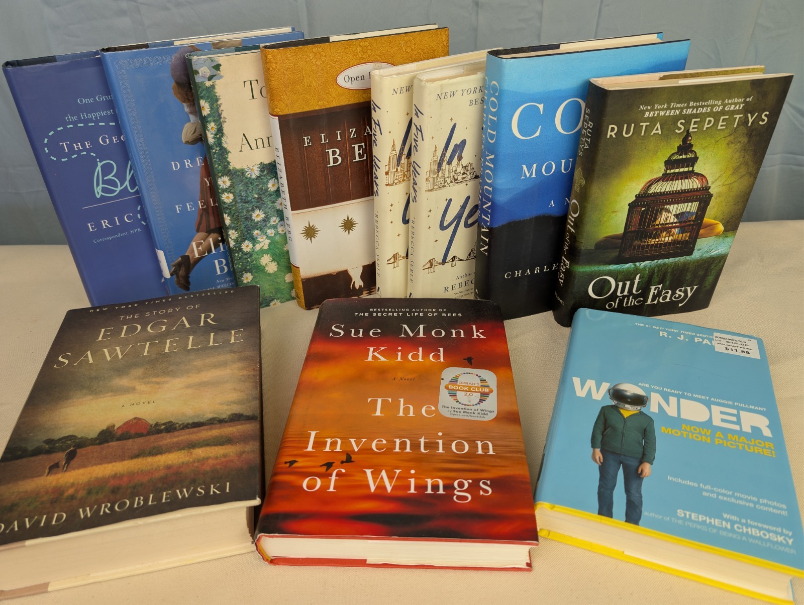 Lot of 11 Book Club Novels – Ann Patchett, Sue Monk Kidd, Elizabeth Berg, Wonder