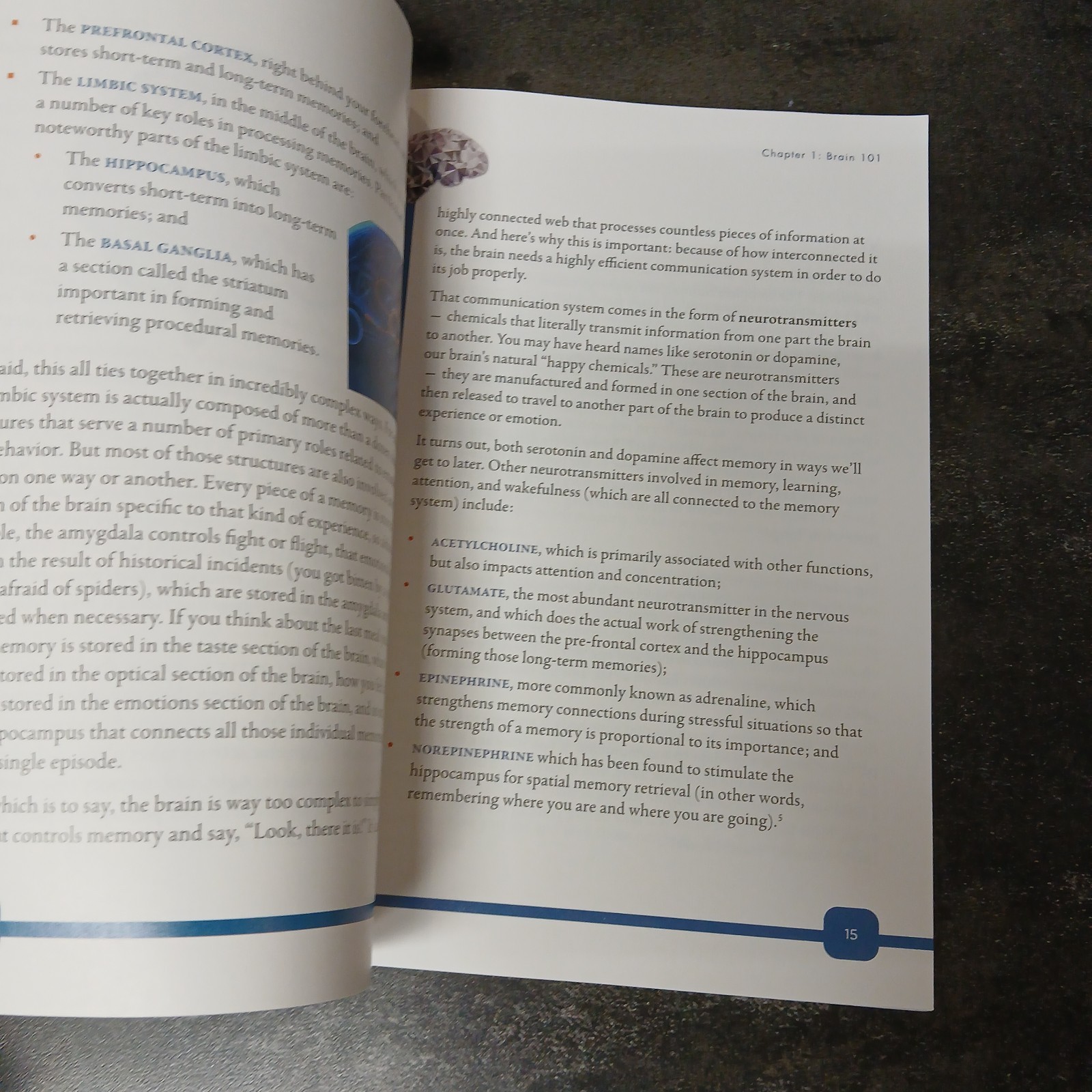 The Unbreakable Brain Will Mitchell Brain Health Cognitive Decline Prevention