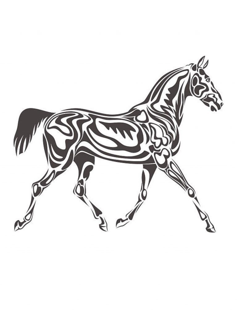 the Horses Coloring Book the best horse book 108 Pages 8.5 x 11 for All Ages