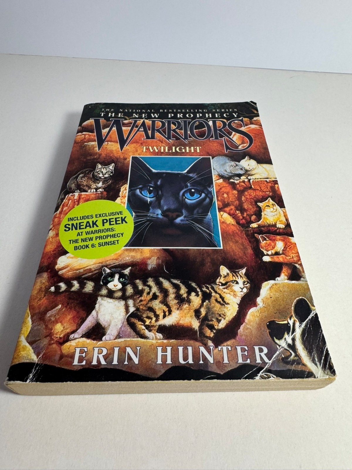Warriors The New Prophecy First Edition Set 1-6 – Erin Hunter Paperback